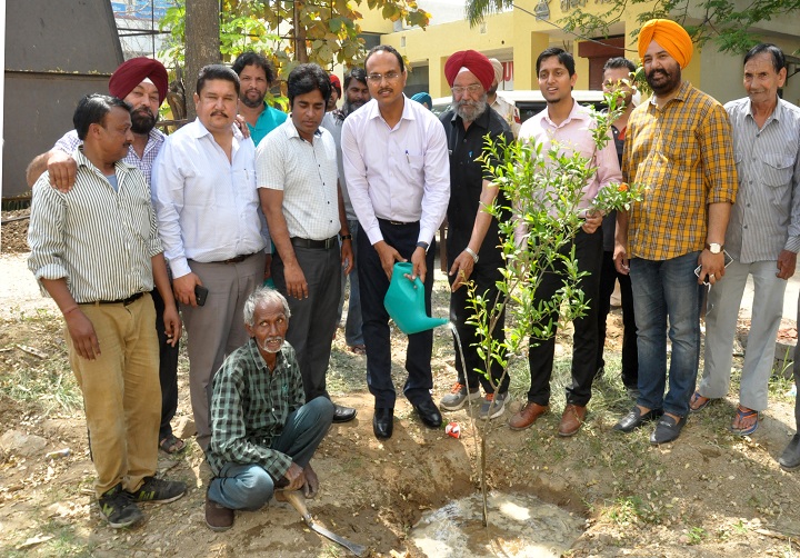 DRIVE TO PLANT 250 SAPLINGS IN DAC COMPLETE, DC REVIEWS ARRANGEMENTS FOR ITS UPKEEP